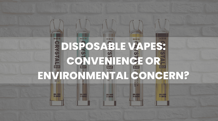 Disposable Vapes: Convenience or Environmental Concern?