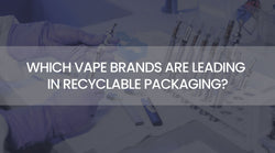 Which Vape Brands Are Leading in Recyclable Packaging?